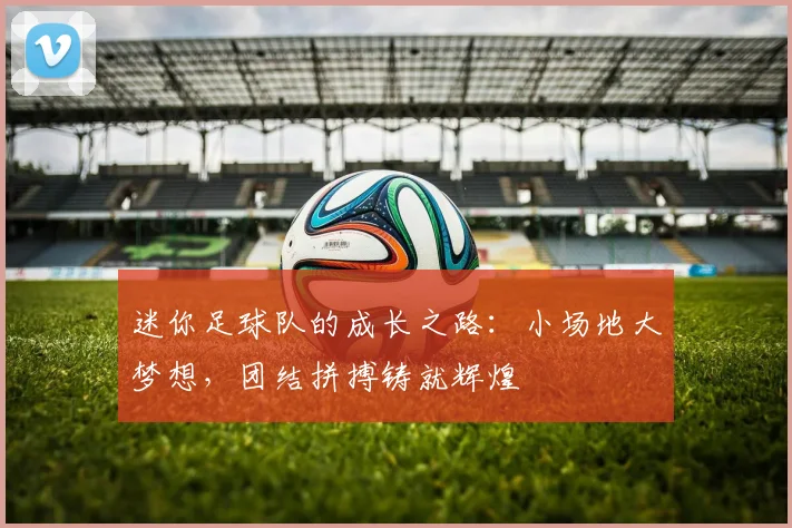 迷你足球队的成长之路：小场地大梦想，团结拼搏铸就辉煌